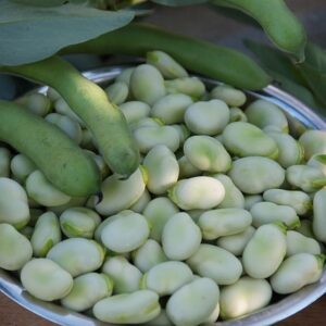 broad bean, pod, green, seeds, fresh, leaf, broad bean, broad bean, broad bean, broad bean, broad bean