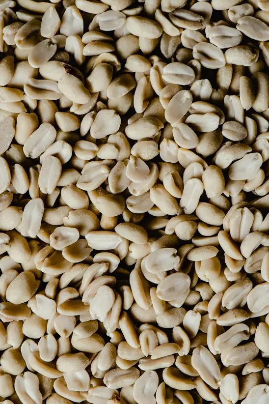 fermented tofu peanuts 南乳花生