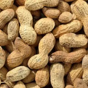 fermented tofu peanuts 南乳花生
