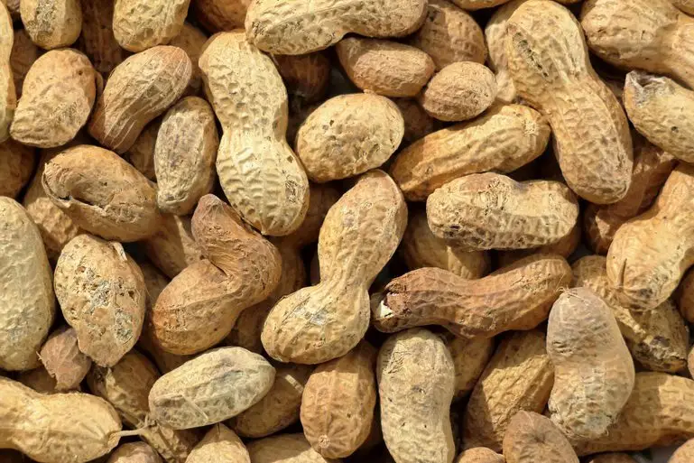 fermented tofu peanuts 南乳花生