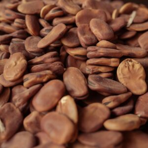 A detailed close-up of raw fava beans showcasing texture and earthy tones.