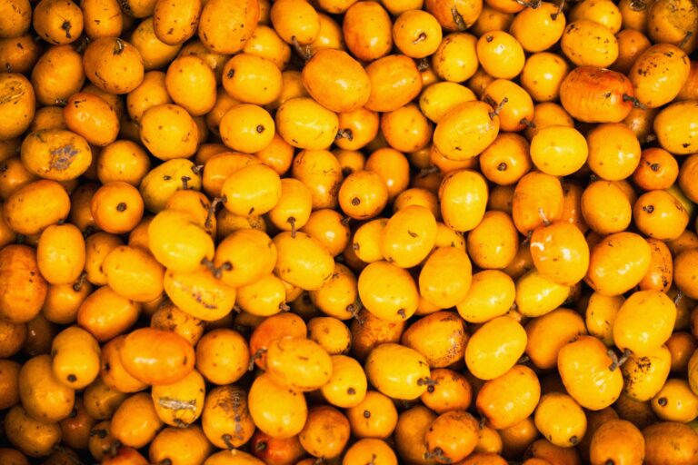 Close-up of a vibrant pile of fresh loquat fruits, emphasizing their bright orange color.