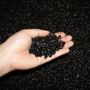 Close-up of a hand holding a handful of black beans against a dark, textured background.